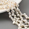 Natural Cultured Freshwater Pearl Beads Strands PEAR-A006-19C-1