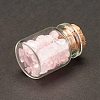 Transparent Glass Wishing Bottle Decoration LS-DJEW-A001-01A-07-3