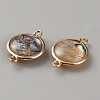 Flat Round Natural Paua Shell Resin Connector Charms LS-BSHE-WH0004-16KCG-2