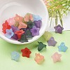 Mixed Color Transparent Acrylic Frosted Flower Beads X-PLF018-3