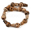 Natural Picture Jasper 3-Hole Guru Beads Strands G-H064-E06-01-3