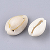 Cowrie Shell Links connectors X-SSHEL-Q310-01B-02-2