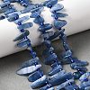 Natural Kyanite Beads Strands G-J403-02-5