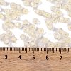 Glass Seed Beads SEED-A032-05I-4