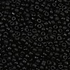 Frosted Opaque 8/0 Glass Seed Beads X-SEED-R029-3mm-A07-1