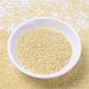 MIYUKI Delica Beads X-SEED-J020-DB1287-2