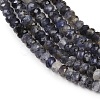 Natural Iolite Beads Strands G-P612-A02-01-4