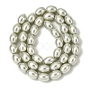 Electroplated Shell Pearl Beads Strands BSHE-B008-07A-2