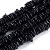 Natural Freshwater Shell Beads Strands X-SHEL-D078-01A-1