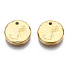 316 Surgical Stainless Steel Charms STAS-S116-418J-G-2