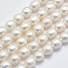 Natural Cultured Freshwater Pearl Beads Strands PEAR-K003-23D-01-1