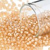 TOHO Round Seed Beads SEED-TR08-0391-1