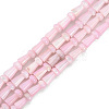 Natural Freshwater Shell Beads Strands SHEL-G013-02G-1