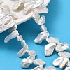 Natural Baroque Keshi Pearl Beads Strands PEAR-P064-02C-01A-1