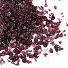 Natural Garnet Chip Beads G-M364-14-01-1