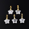 Natural Quartz Crystal Charms G-N326-142-11-2