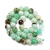 Natural Chrysoprase Beads Strands G-P503-10MM-03-3