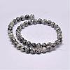 Natural Sesame Jasper/Kiwi Jasper Beads Strands G-F351-10mm-2
