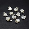 Shell Charms SSHEL-E564-26P-1