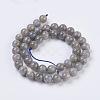 Natural Labradorite Beads Strands G-G212-8mm-23-2