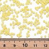 13/0 Glass Seed Beads SEED-T005-14A-A04-4
