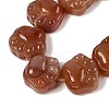 Natural Red Agate Beads Strands G-M108-A07-01-3