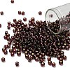 TOHO 6/0 Round Beads SEED-TR06-0026C-1