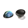 Glass Cabochons GGLA-P001-03A-M01-4