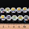 Electroplate Glass Beads Strands EGLA-T021-21B-4