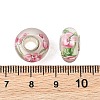 Lampwork & Brass Core European Beads LAMP-P019-01P-26-3