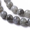 Natural Labradorite Beads Strands G-I261-D02-8mm-3