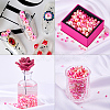 Imitation Pearl Acrylic Beads OACR-PH0001-06-6