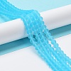 Transparent Glass Beads Strands EGLA-A034-T4mm-MD08-3
