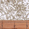 MIYUKI Delica Beads X-SEED-J020-DB1862-3