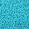 Baking Paint Glass Seed Beads SEED-US0003-3mm-K10-2