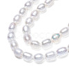 Natural Cultured Freshwater Pearl Beads Strands PEAR-N012-03F-4