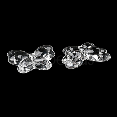 Transparent Acrylic Pendants TACR-D014-01B-1