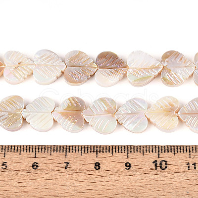 Electroplated Natural Freshwater Shell Carved Beads Strands SHEL-T020-14-1