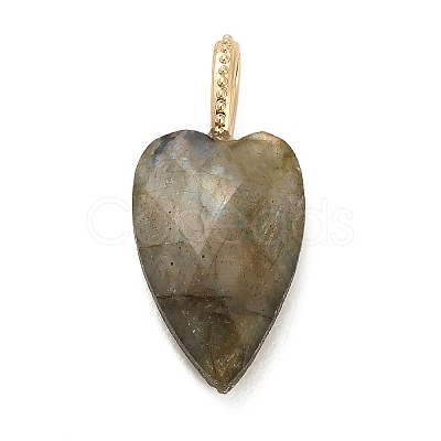 Natural Labradorite Pendants LS-G-C290-01D-1
