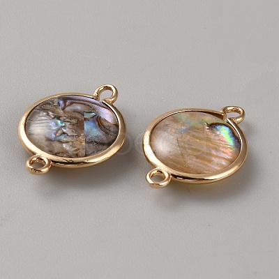 Flat Round Natural Paua Shell Resin Connector Charms LS-BSHE-WH0004-16KCG-1