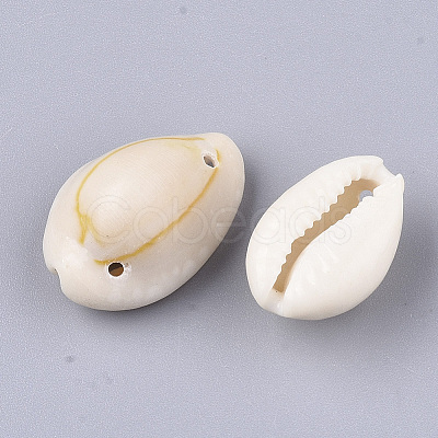 Cowrie Shell Links connectors X-SSHEL-Q310-01B-02-1