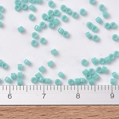MIYUKI Delica Beads SEED-MY11-DB1136-1