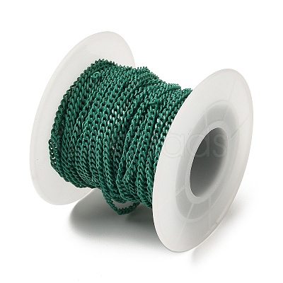 Spray Painted 304 Stainless Steel Curb Chains STAS-B067-05A-10-1