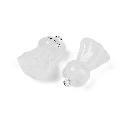 Luminous Resin Pendants RESI-R460-01A-1