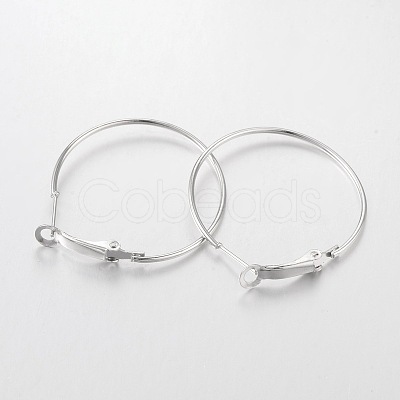 Iron Hoop Earrings X-E220-1