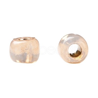 TOHO 11/0 Round Beads X-SEED-TR11-PF2111-1