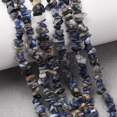 Natural Sodalite Chips Beads Strands F024-1