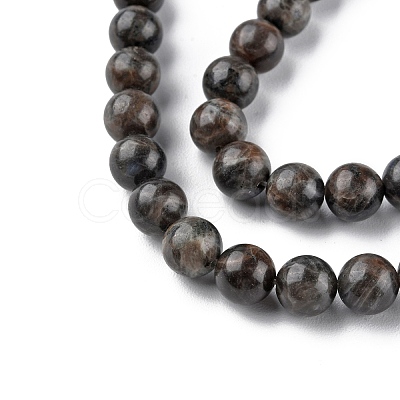 Natural Labradorite Beads Strands G-G0003-C03-10mm-1