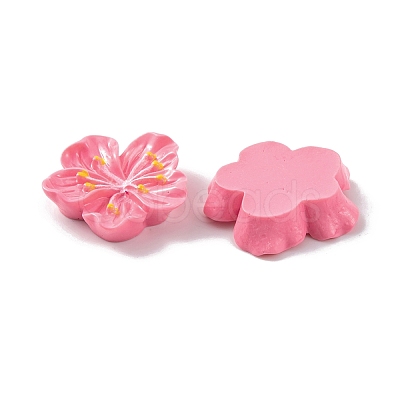 Resin Cabochons OACR-U002-03A-1