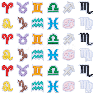 48Pcs 12 Constellations Polyester Iron on Sew on Patches PATC-CY0003-98-1